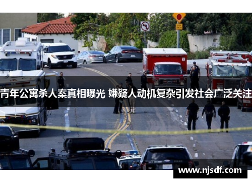 青年公寓杀人案真相曝光 嫌疑人动机复杂引发社会广泛关注