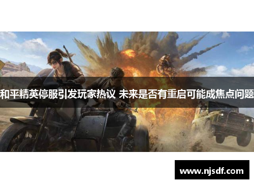 和平精英停服引发玩家热议 未来是否有重启可能成焦点问题